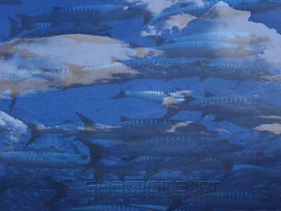 seamonster¹ wallpaper preview